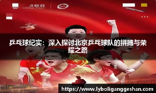 乒乓球纪实：深入探讨北京乒乓球队的拼搏与荣耀之路